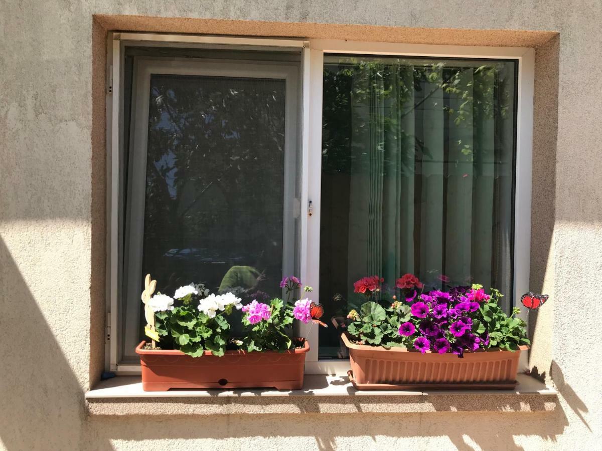 Black Sea House Apartment Констанца Экстерьер фото